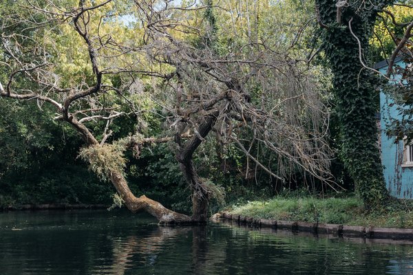 Solutions Naturelles pour Soulager la Constipation Fréquente lors de la Grossesse : Guide Pratique