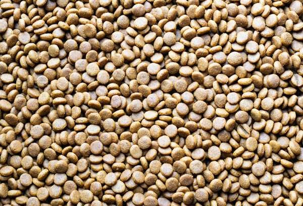 Approches Innovantes et Révolutionnaires en Psychologie Clinique : Nouvelles Perspectives dévoilées